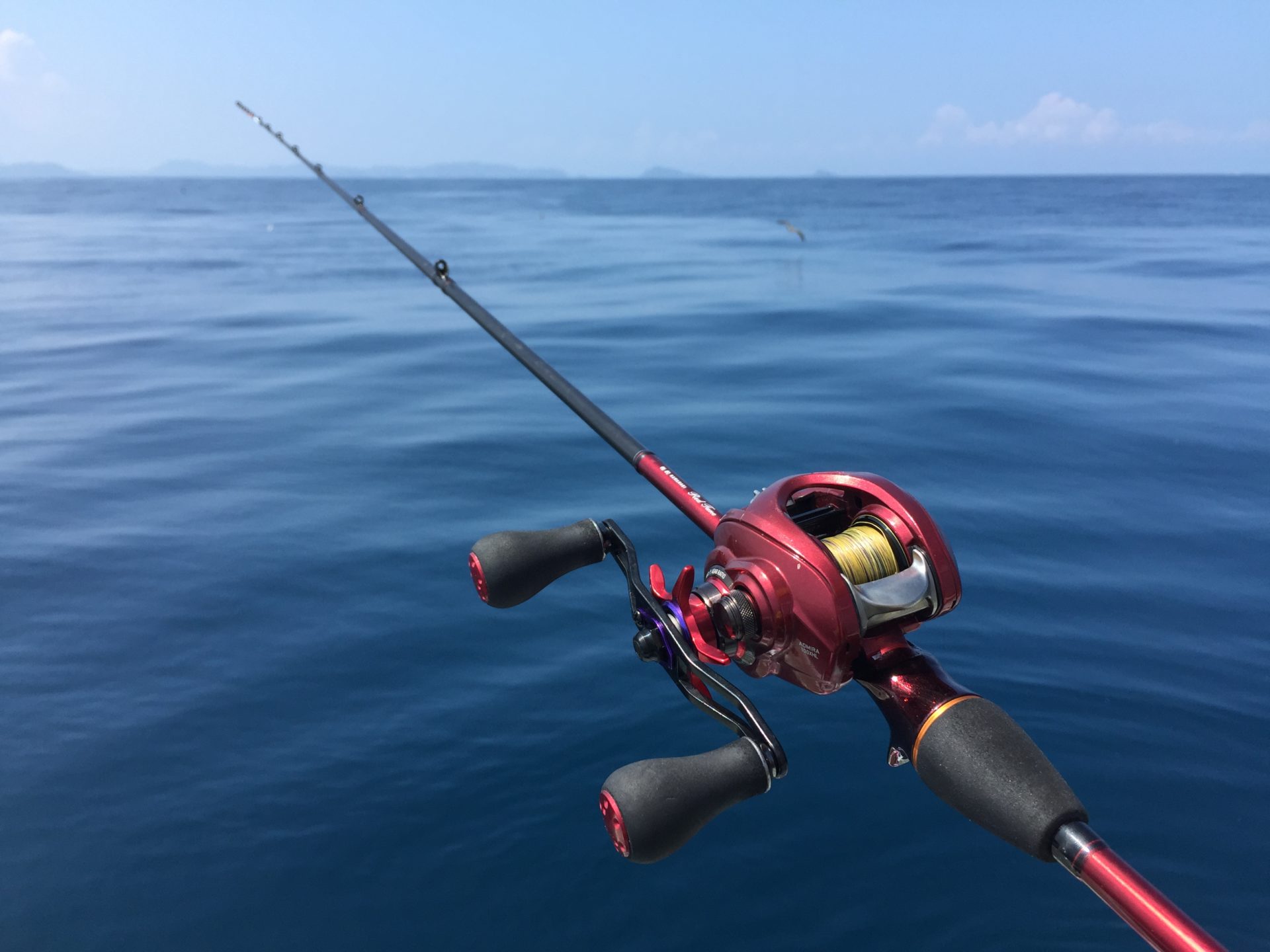 愛知の夏カワハギはN-SFで楽釣～♪ | 鈴木泰成