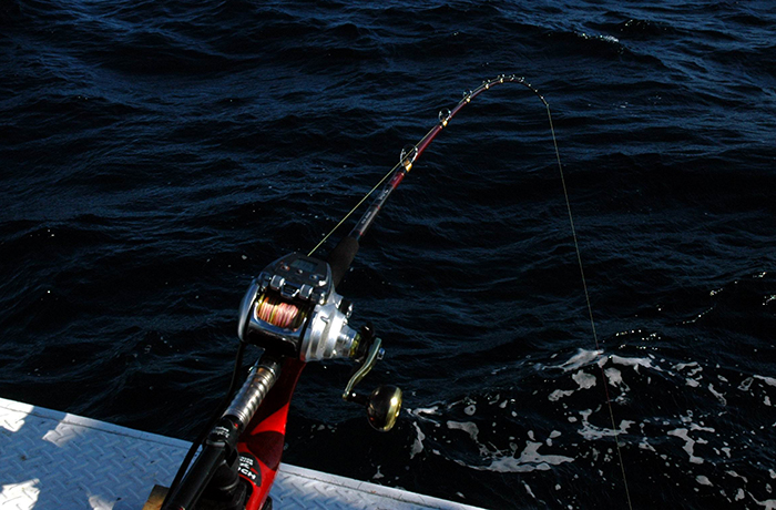 otoshikomi_photo02