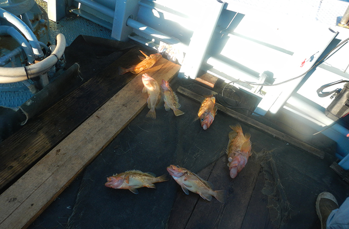otoshikomi_photo02