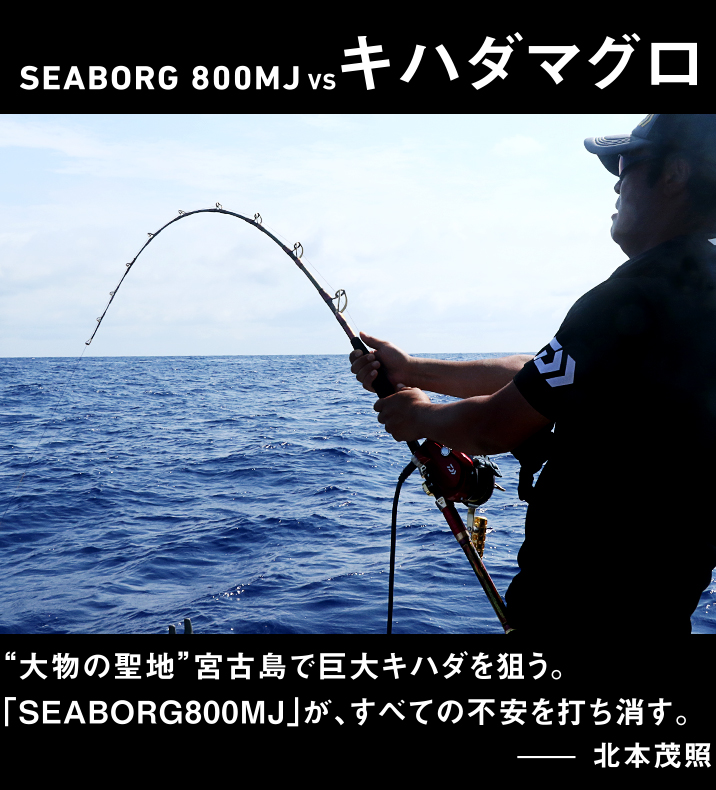 キハダマグロ vs SEABORG 800MJ