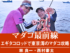 マダコ最前線 エギタコロッドで東京湾のマダコ攻略!