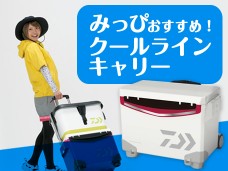 みっぴおすすめ!クールラインキャリー