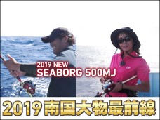 南国banner