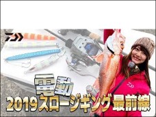 2019_imp_ziging