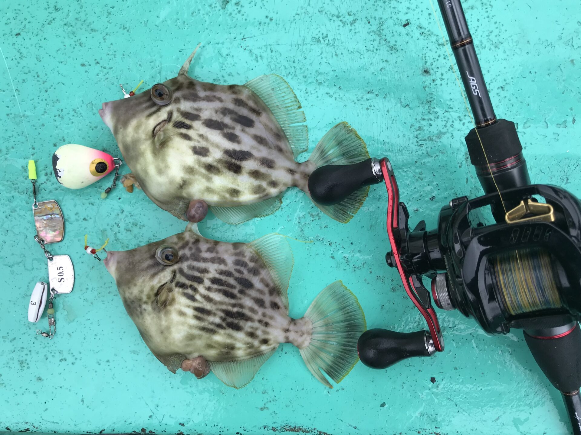 釣り竿 釣り竿 釣り人 釣り人 釣り人 釣り人 釣り糸 魚 カワカミ
