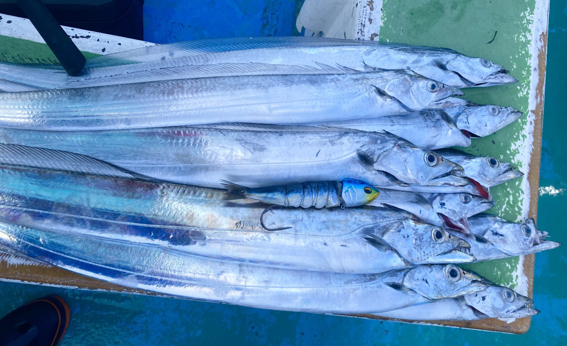 浜名湖沖デカタチウオ釣り行ってきました！ - 天狗堂スタッフによる釣りブログ